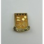 Pin Somersham Town FC (ENG)