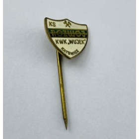 Pin Rozwój Katowice (POL)