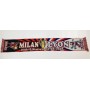 Schal AC Milan (ITA) - Olympique Lyon (FRA), 2006