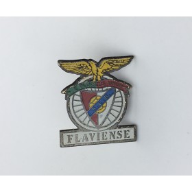 Pin Flaviense (BRA)