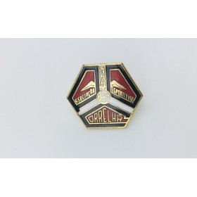 Pin Associacao Esportiva Orelha (BRA)