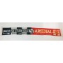 Schal Sturm Graz (AUT) - Arsenal London (ENG), 2010