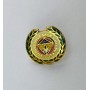 Pin Fenerbahce Istanbul (TUR)