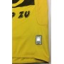 Trikot SCR Altach (AUT), KOLAREVIC 25