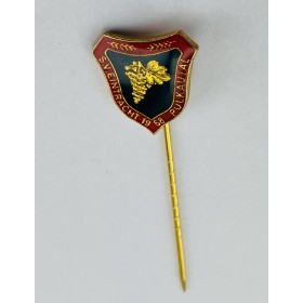 Pin SV Eintracht Pulkautal (AUT)