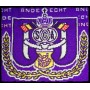 Schal RSC Anderlecht (BEL)