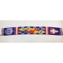 Schal Austria Wien, Fanclub