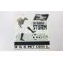 Vinyl/LP Sturm Graz, Raika Sturm