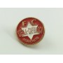 Pin FC Stella Capriasca (SUI)