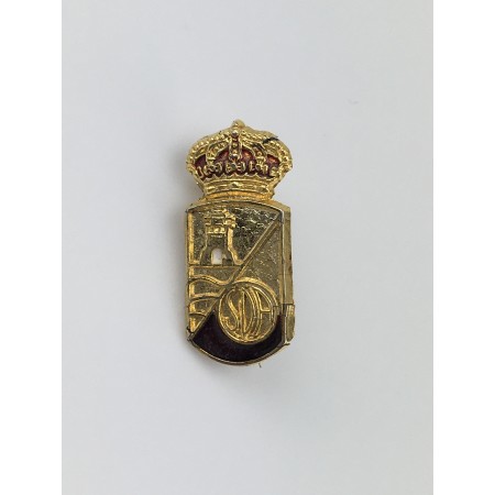 Pin RSD Alcalá (ESP)