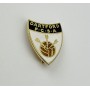 Pin Dartford FC (ENG)