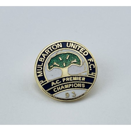 Pin Mulbarton United FC (ENG)