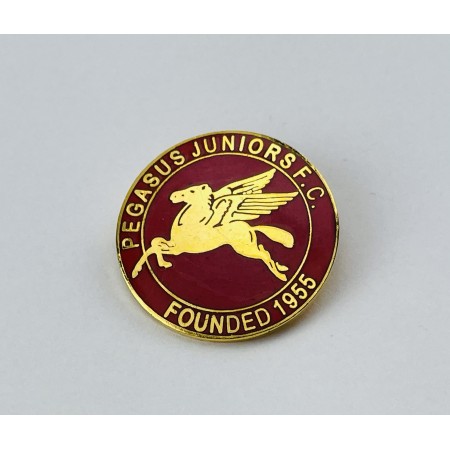 Pin Pegasus Juniors FC (ENG)