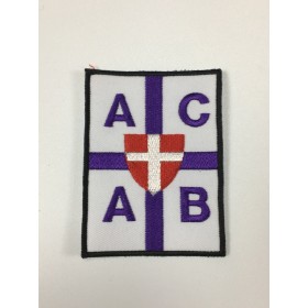 Aufnäher Austria Wien, ACAB