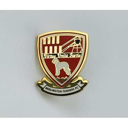 Pin Bedlington Terriers FC (ENG)