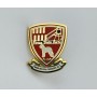 Pin Bedlington Terriers FC (ENG)