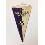 Wimpel Austria Wien, Meister 1968/1969