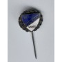 Pin Blau Weiß Grümerbaum 1929 (GER)