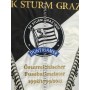 copy of Museum Wimpel Sturm Graz, Meister