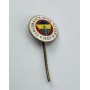 Pin Fenerbahce Istanbul (TUR)