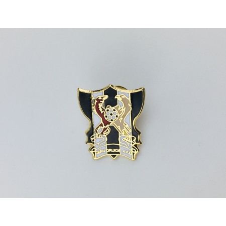 Pin Cefn Druids AFC (WAL)