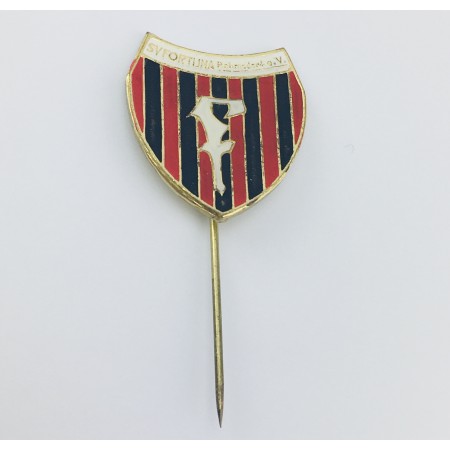 Pin SV Fortuna Reichenbach (GER)