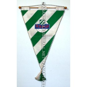 copy of Museum Wimpel Rapid Wien