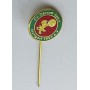 Pin FV Dersim Sport Stuttgart (GER)