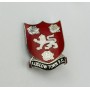 Pin Ludlow Town FC (ENG)