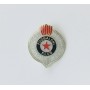 Pin Partizan Belgrad (SRB)