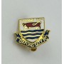 Pin Oxford City FC (ENG)