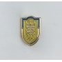 Pin Orihuela Deportiva (ESP)