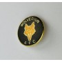 Pin Wolverton AFC (ENG)