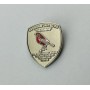 Pin Evesham United FC (ENG)