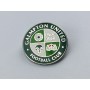 Pin Galmpton United FC (ENG)