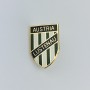 Pin Austria Lustenau