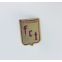 Pin FC Toulousain (FRA)